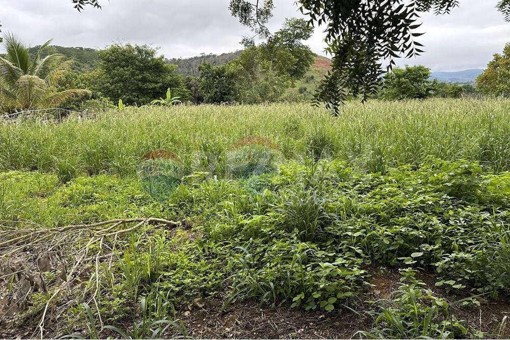 Chácara / Sítio / Fazenda - Venda - Ipanema , Minas Gerais - 8_image_8_watermark_ter._23122025_141229.jpg - 870451001-159