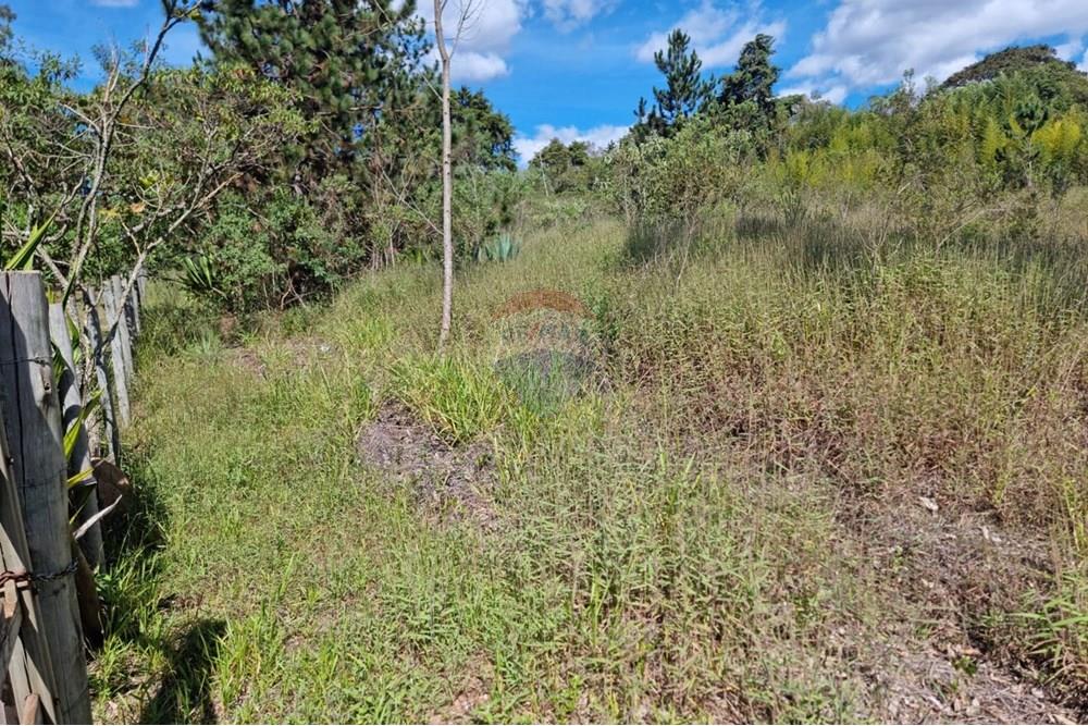 Terreno - Venda - Nova Lima , Minas Gerais - 6.jpeg - 870421084-16