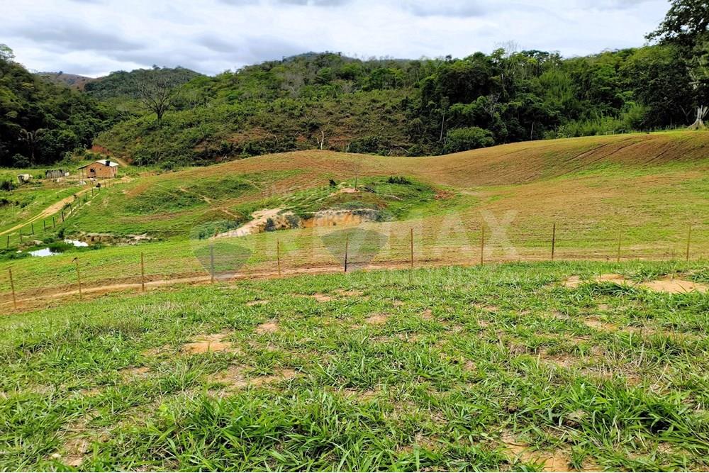 Chácara / Sítio / Fazenda - Venda - Ipanema , Minas Gerais - 9_image_9_watermark_qui._20112025_124804.jpg - 870451013-80