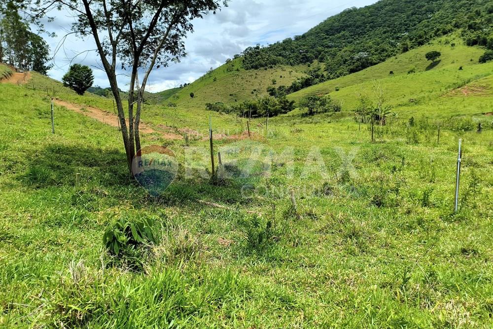 Chácara / Sítio / Fazenda - Venda - Taparuba , Minas Gerais - 2_image_2_watermark_ter._17022026_130555.jpg - 870451001-165