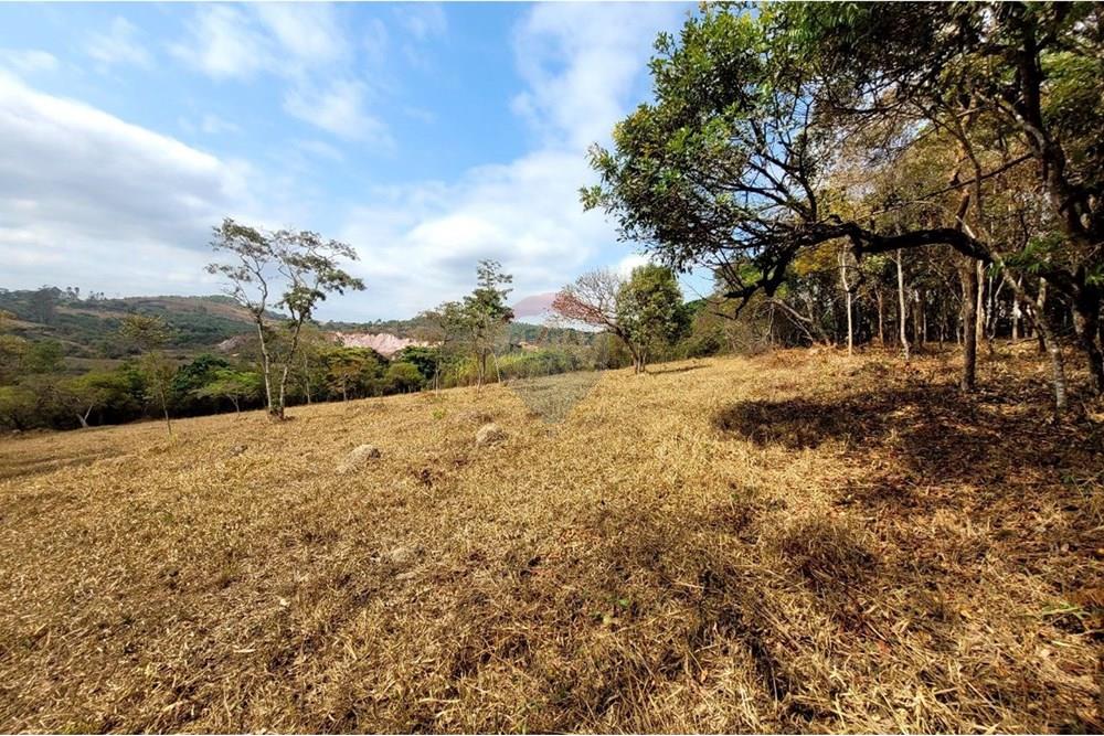 Chácara / Sítio / Fazenda - Venda - Itabirito , Minas Gerais - IMAGE 2025-07-12 14:33:04.jpg - Jardim Interno - 870421026-48