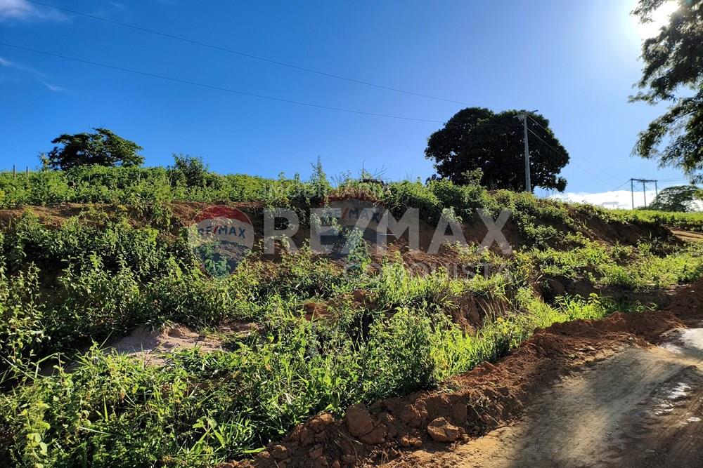 Terreno - Venda - Ipanema , Minas Gerais - 6_image_6_watermark_dom._11012026_132139.jpg - 870451001-161