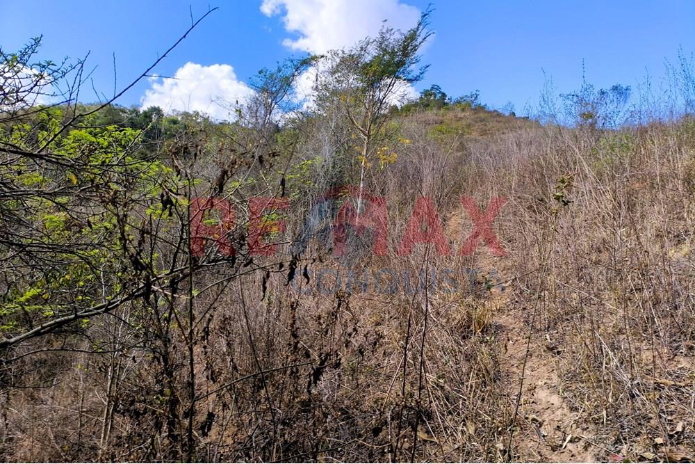 Chácara / Sítio / Fazenda - Venda - Ipanema , Minas Gerais - 2_image_2_watermark_seg._15092025_150711.jpg - 870451013-72