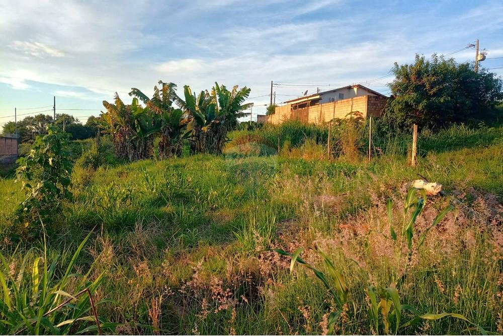 Terreno - Venda - Uberaba , Minas Gerais - 07.jpeg - 870291025-93