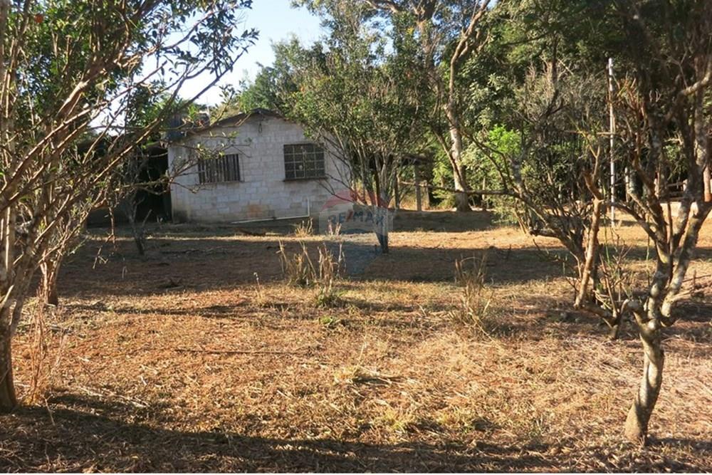 Chácara / Sítio / Fazenda - Venda - Pedro Leopoldo , Minas Gerais - IMG_3985.JPG - 870411101-6