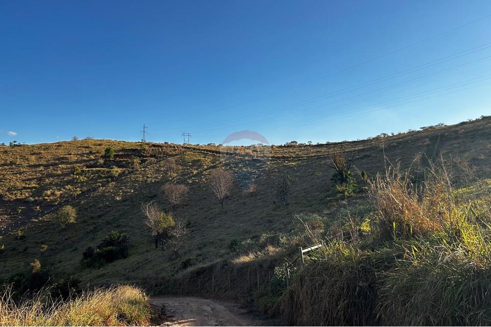 Chácara / Sítio / Fazenda - Venda - Governador Valadares , Minas Gerais - IMG_3044.jpg - 870671001-156