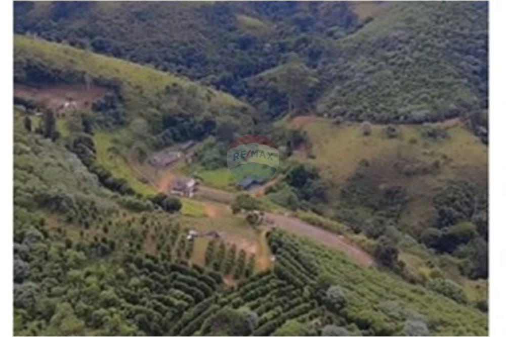 Chácara / Sítio / Fazenda - Venda - Casa Grande , Minas Gerais - 6a12c704-b93e-4b46-b01f-111ea972383c.jpeg - 870411117-20