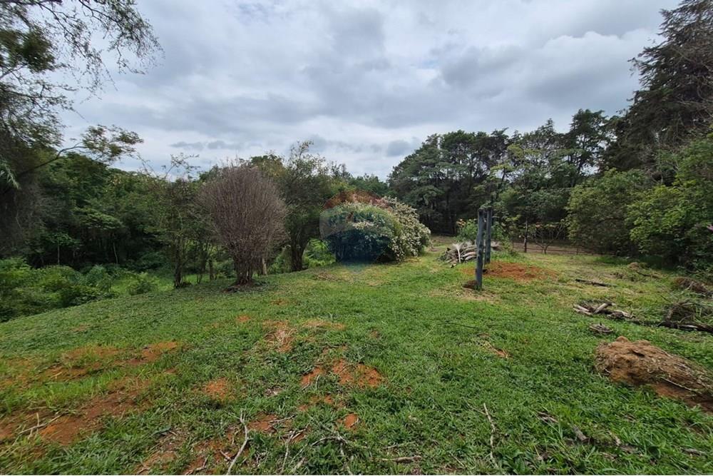 Chácara / Sítio / Fazenda - Venda - Ouro Preto , Minas Gerais - PHOTO-2025-12-04-08-36-28.jpg - 870421104-14
