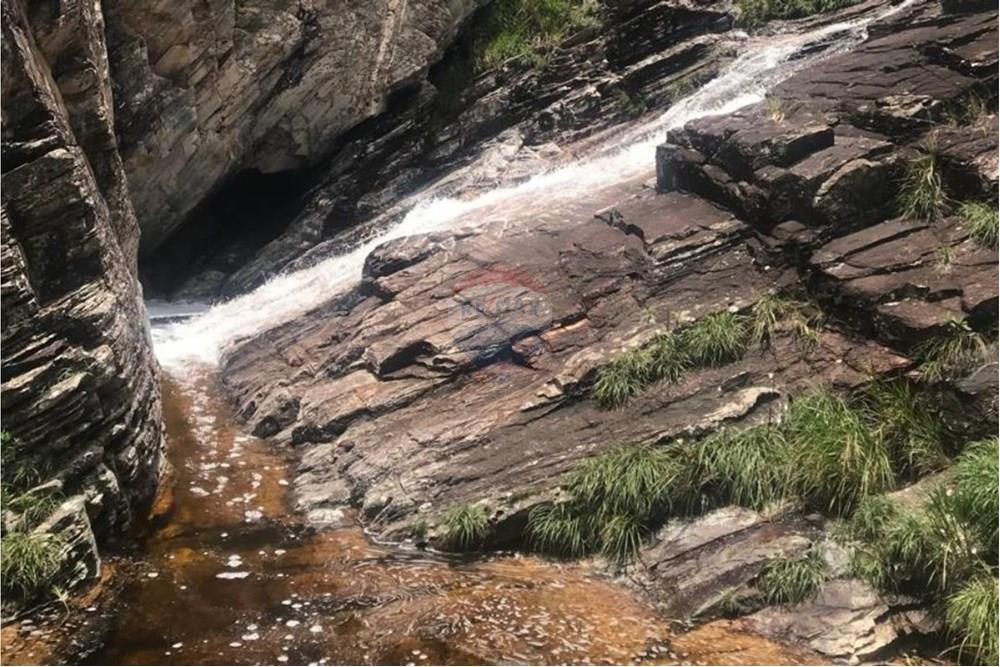 Chácara / Sítio / Fazenda - Venda - Delfinópolis , Minas Gerais - 16.jpg - 870721005-23