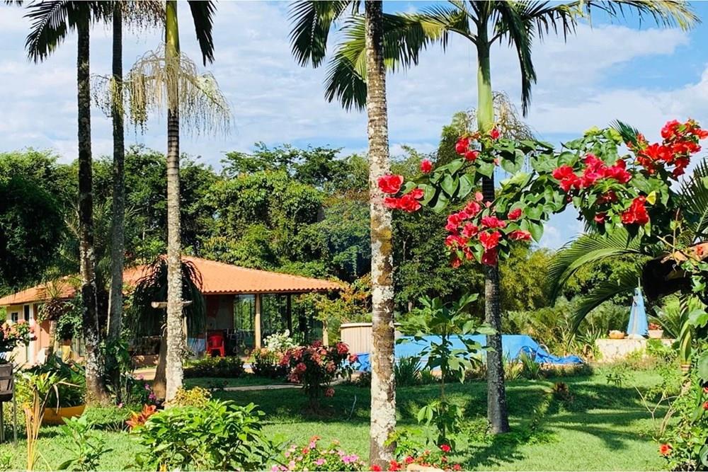 Chácara / Sítio / Fazenda - Venda - Delfinópolis , Minas Gerais - IMG-20250624-WA0008.jpg - 870721005-35