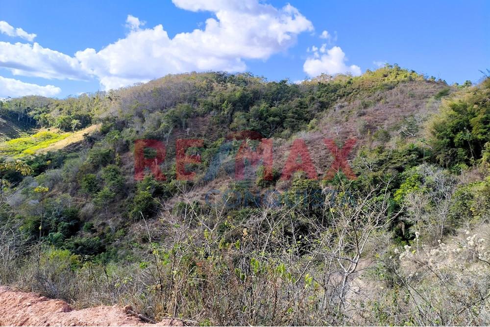 Chácara / Sítio / Fazenda - Venda - Ipanema , Minas Gerais - 5_image_5_watermark_seg._15092025_150604.jpg - 870451013-72