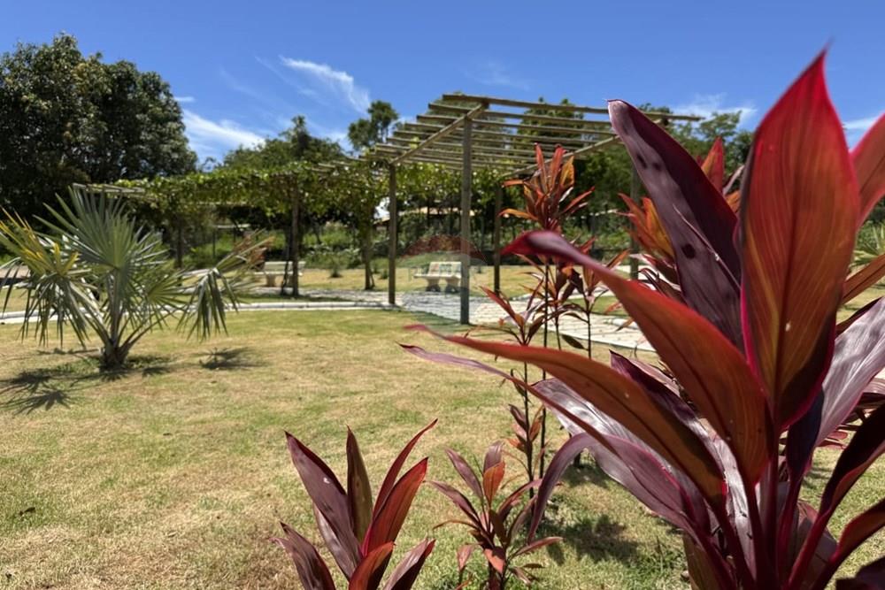 Terreno - Venda - Jaboticatubas , Minas Gerais - praça 2.jpeg - 870411086-7