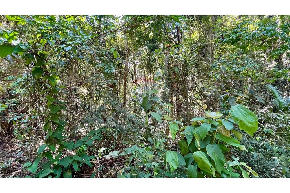 Terreno - Venda - Nova Lima , Minas Gerais - WhatsApp Image 2025-11-04 at 10.48.10 (6).jpeg - 870351032-24