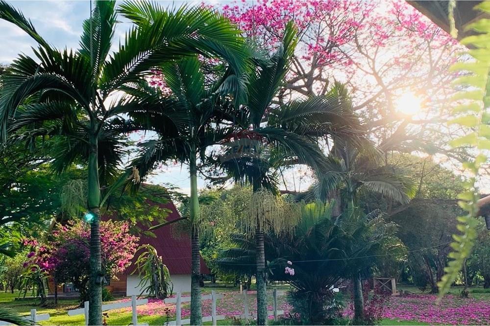 Chácara / Sítio / Fazenda - Venda - Delfinópolis , Minas Gerais - IMG-20250623-WA0032.jpg - 870721005-35