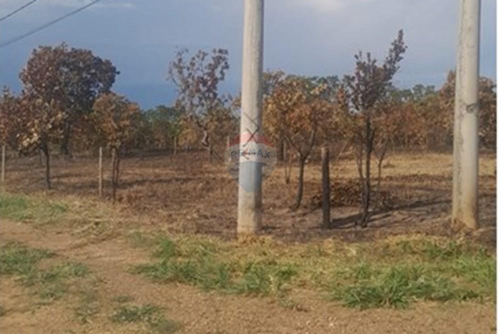 Terreno - Venda - Felixlândia , Minas Gerais - imagem 6.jpeg - 870411117-32