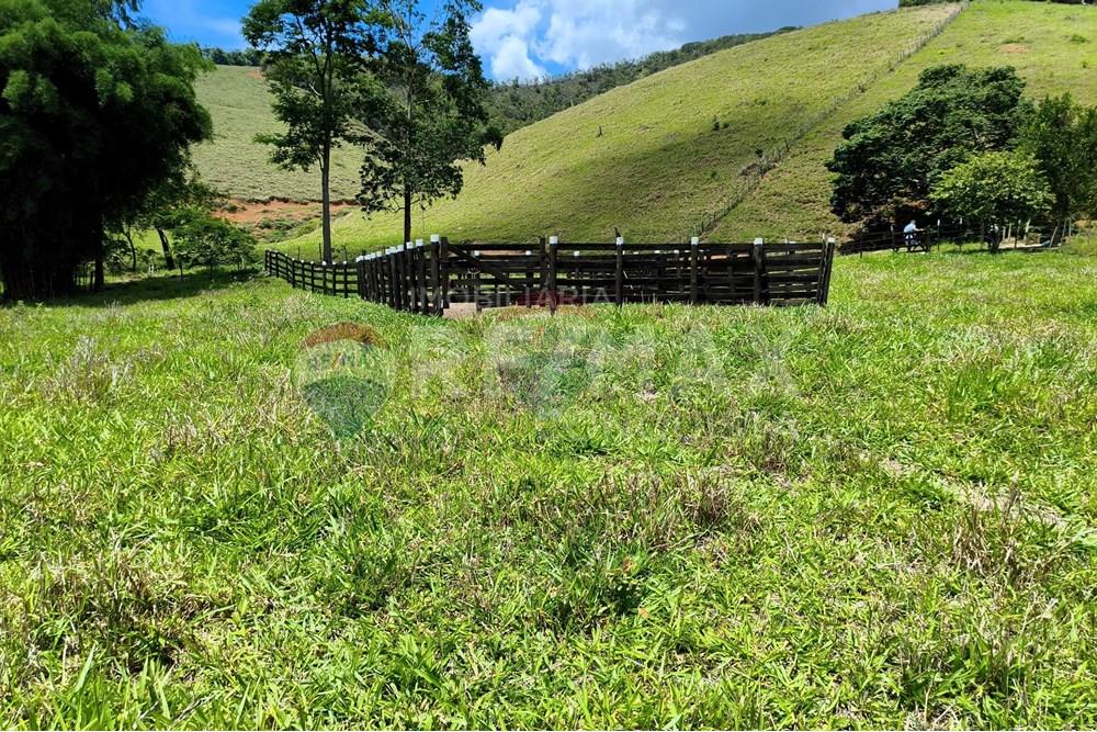 Chácara / Sítio / Fazenda - Venda - Taparuba , Minas Gerais - 3_image_3_watermark_sex._19122025_102004.jpg - 870451001-158
