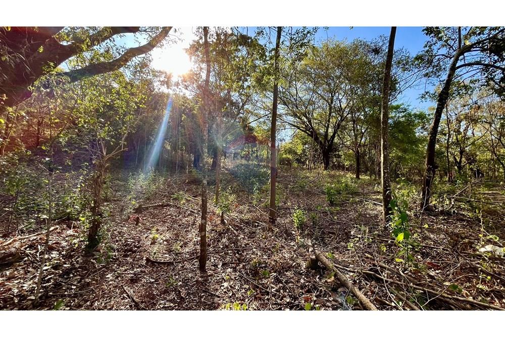 Chácara / Sítio / Fazenda - Venda - Nova Lima , Minas Gerais - WhatsApp Image 2025-10-23 at 11.25.21.jpeg - 870351032-22