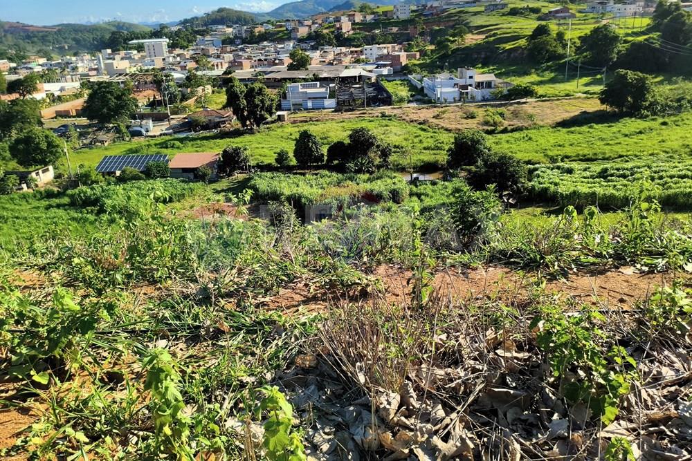 Terreno - Venda - Ipanema , Minas Gerais - 6_image_6_watermark_dom._11012026_132055.jpg - 870451001-161