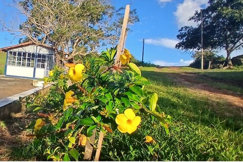 Fazenda - Venda - Serro , Minas Gerais - WhatsApp Image 2025-11-22 at 10.11.28 (3).jpeg - 870411101-18