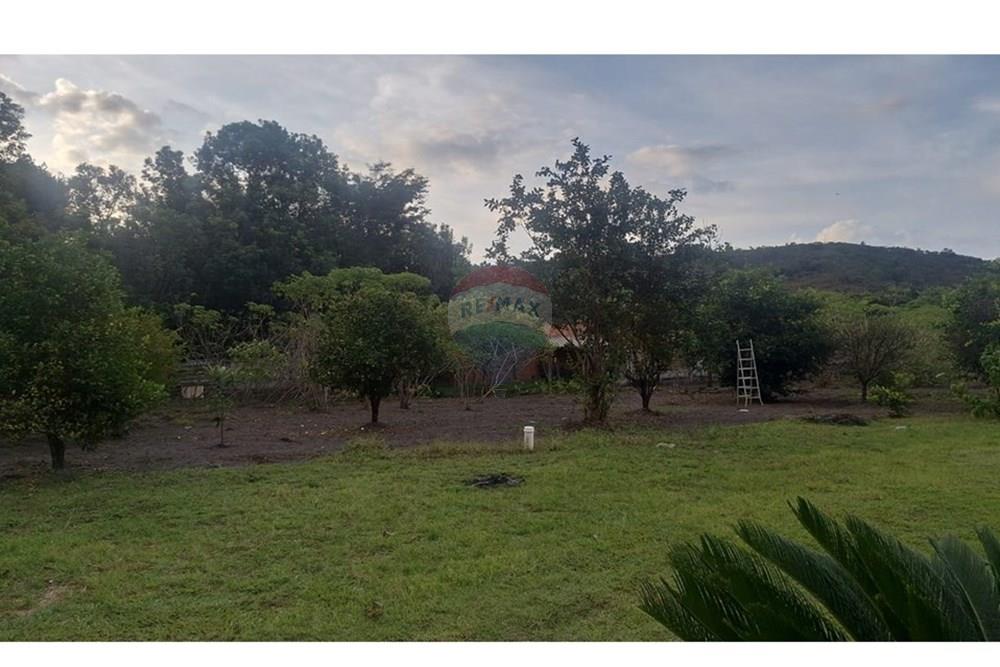Chácara / Sítio / Fazenda - Venda - Araxá , Minas Gerais - 1.jpeg - Layout aberto - 870431058-36