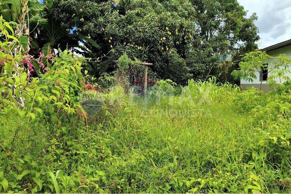 Terreno - Venda - Ipanema , Minas Gerais - 0_image_0_watermark_sex._19122025_100449.jpg - 870451004-112