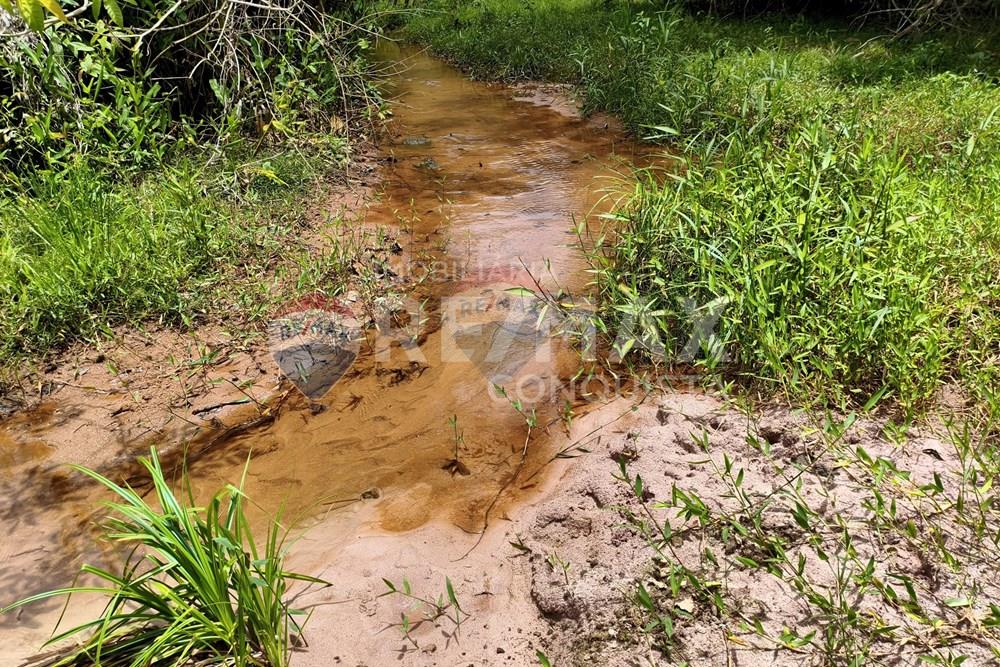 Chácara / Sítio / Fazenda - Venda - Taparuba , Minas Gerais - 9_image_9_watermark_ter._17022026_130735.jpg - 870451001-165