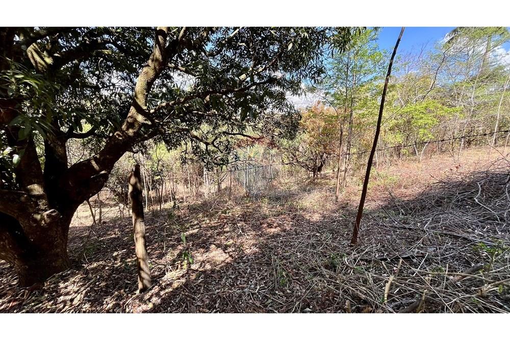 Chácara / Sítio / Fazenda - Venda - Nova Lima , Minas Gerais - WhatsApp Image 2025-10-23 at 11.17.24 (3).jpeg - 870351032-22