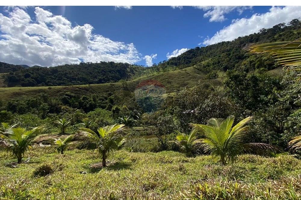 Chácara / Sítio / Fazenda - Venda - Ipatinga , Minas Gerais - WhatsApp Image 2025-10-09 at 17.37.03 (4).jpeg - 870711007-44
