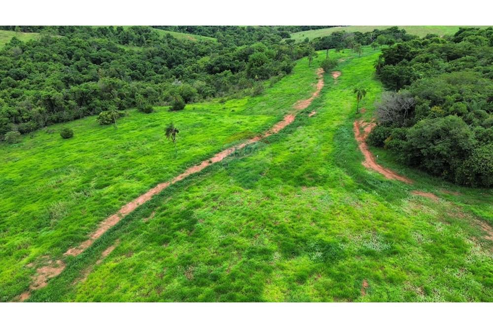 Chácara / Sítio / Fazenda - Venda - São Sebastião do Paraíso , Minas Gerais - SITIO ROMULO BICEGO (6).jpeg - 870811007-131