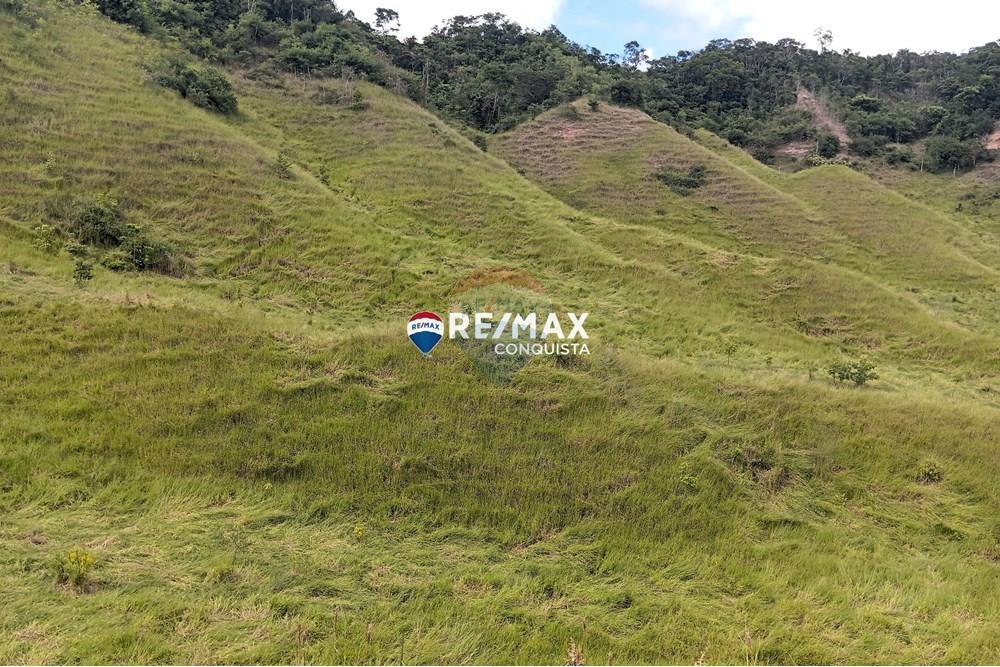 Chácara / Sítio / Fazenda - Venda - Conceição de Ipanema , Minas Gerais - 1_image_1_watermark_sáb._12042025_141816.jpg - 870451013-61