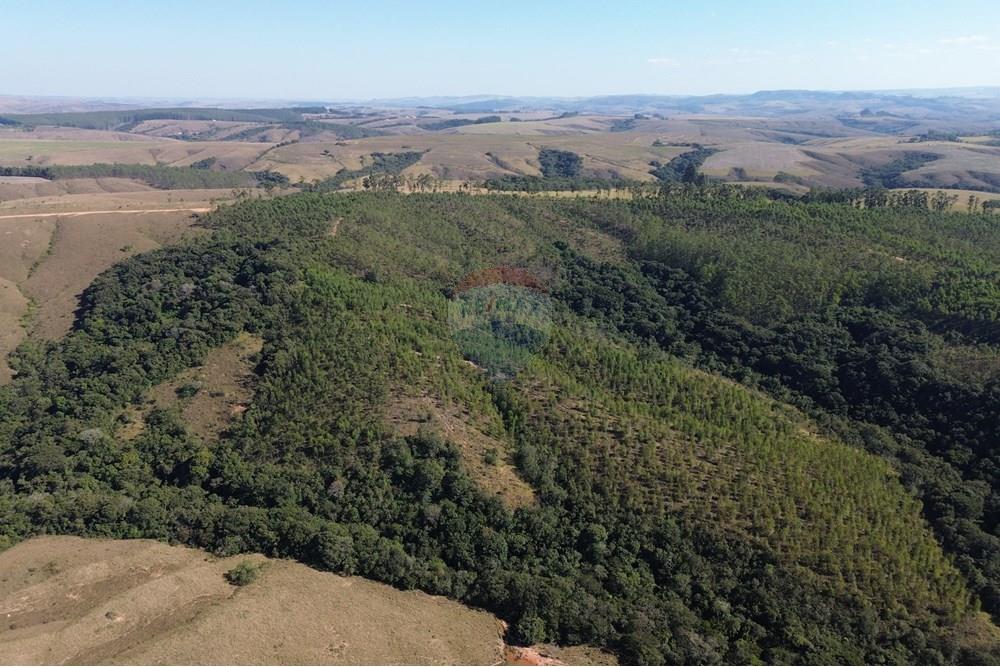 Chácara / Sítio / Fazenda - Venda - Araxá , Minas Gerais - 05.JPG - 870431045-49