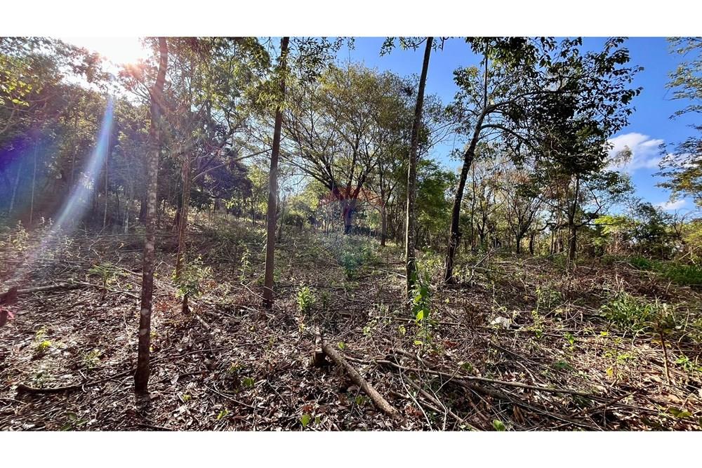 Chácara / Sítio / Fazenda - Venda - Nova Lima , Minas Gerais - WhatsApp Image 2025-10-23 at 11.25.21 (1).jpeg - 870351032-22