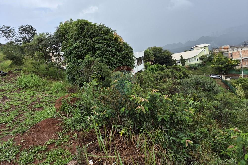 Terreno - Venda - Nova Lima , Minas Gerais - 20260318_105728.jpg - 870421084-35