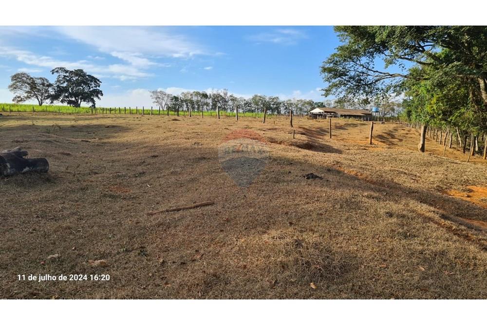 Chácara / Sítio / Fazenda - Venda - Uberaba , Minas Gerais -  (13).jpeg - 870291025-115