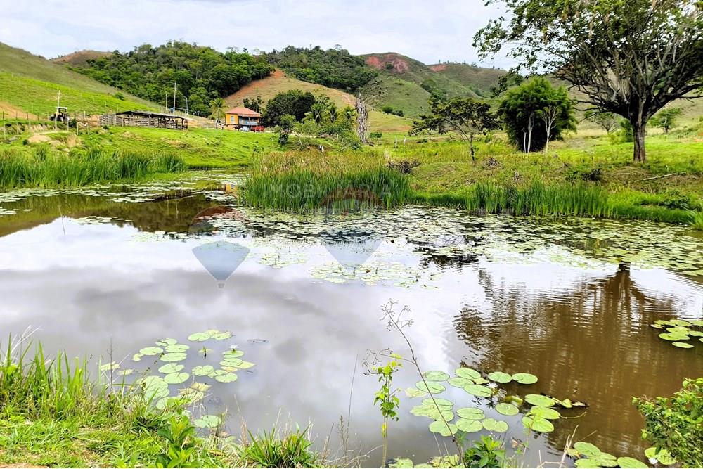 Chácara / Sítio / Fazenda - Venda - Ipanema , Minas Gerais - 4_image_4_watermark_qui._20112025_124547.jpg - 870451013-80