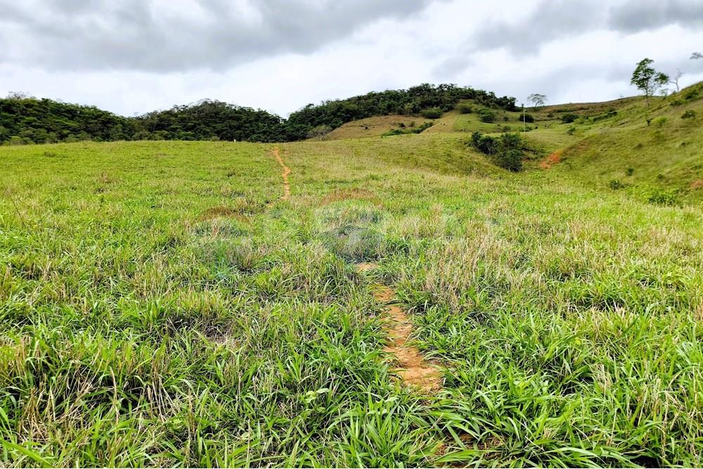 Chácara / Sítio / Fazenda - Venda - Ipanema , Minas Gerais - 2_image_2_watermark_qui._20112025_124801.jpg - 870451013-80