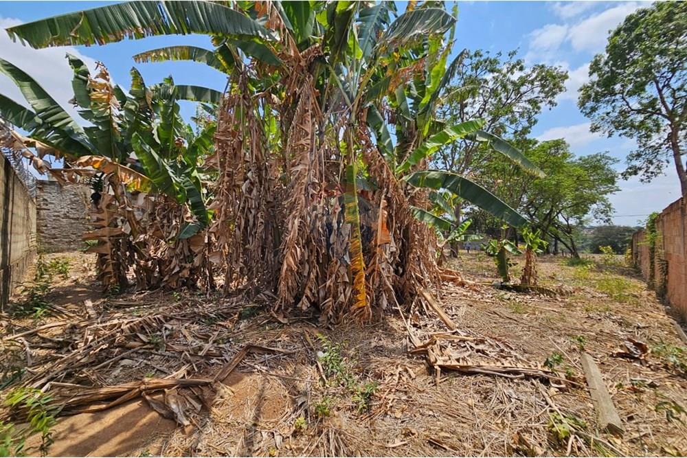 Terreno - Venda - Contagem , Minas Gerais - WhatsApp Image 2025-10-22 at 15.35.12.jpeg - 870411099-49