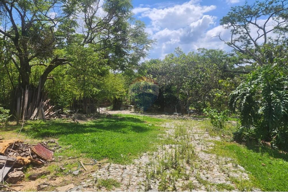 Chácara / Sítio / Fazenda - Venda - Contagem , Minas Gerais - FOTO56.jpg - 870241112-48