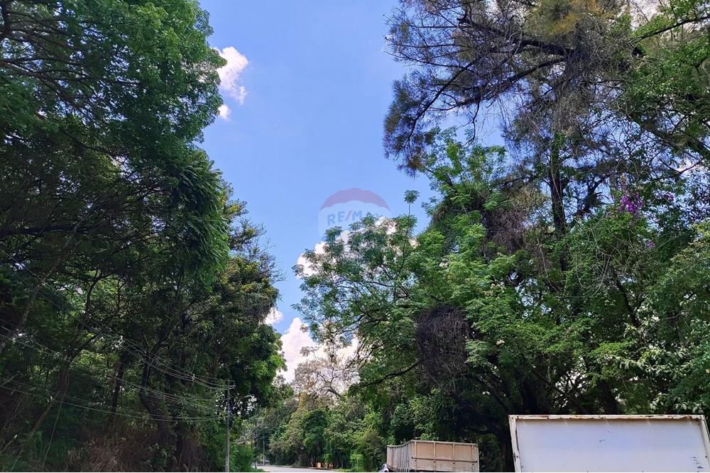 Terreno - Venda - Vespasiano , Minas Gerais - IMG_20251130_125835.jpg - 870251115-3