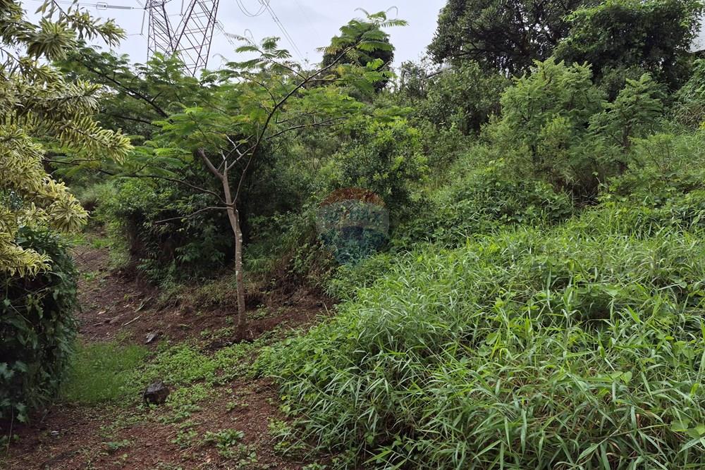 Terreno - Venda - Nova Lima , Minas Gerais - 20260318_105053.jpg - 870421084-35