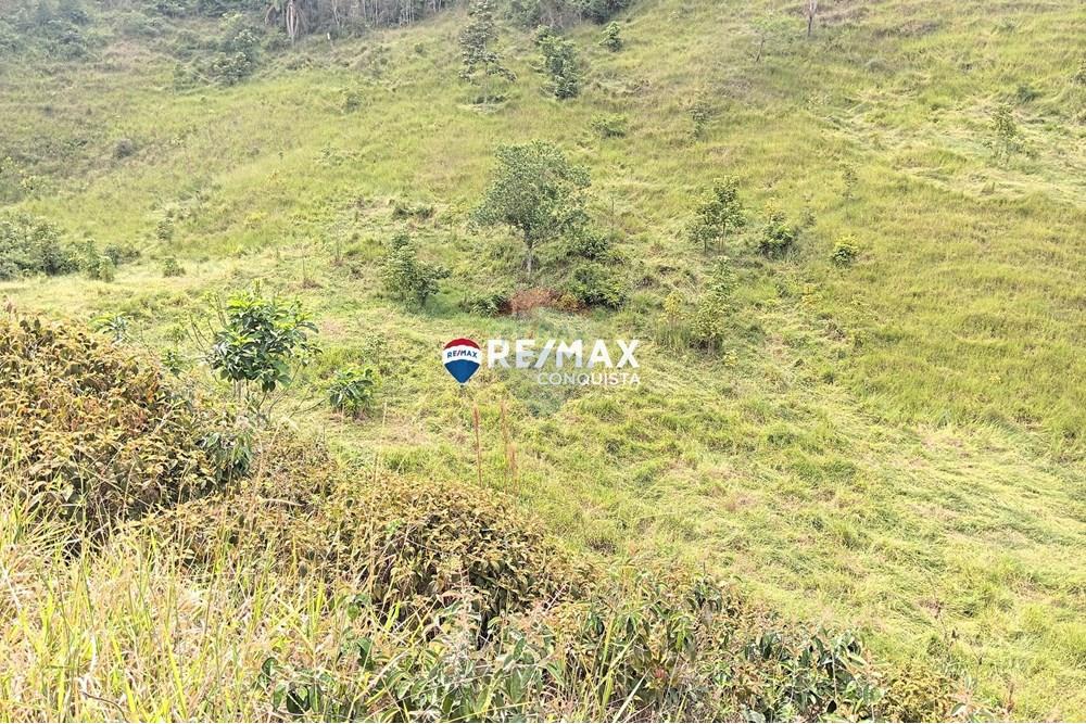 Chácara / Sítio / Fazenda - Venda - Conceição de Ipanema , Minas Gerais - 0_image_0_watermark_sáb._12042025_141815.jpg - 870451013-61