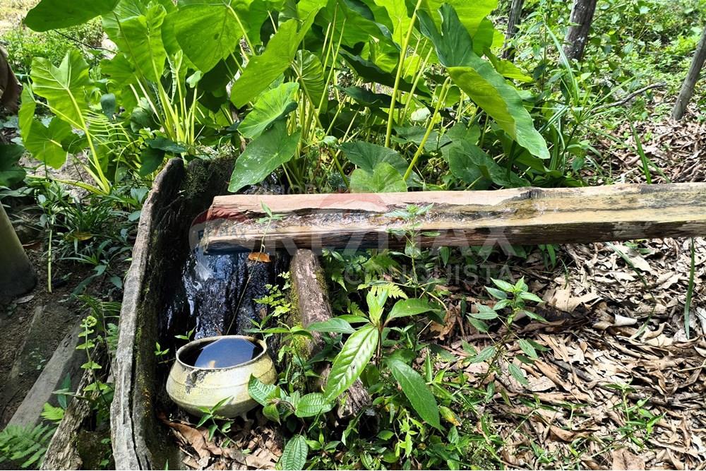 Chácara / Sítio / Fazenda - Venda - Taparuba , Minas Gerais - 9_image_9_watermark_sex._19122025_102133.jpg - 870451001-158