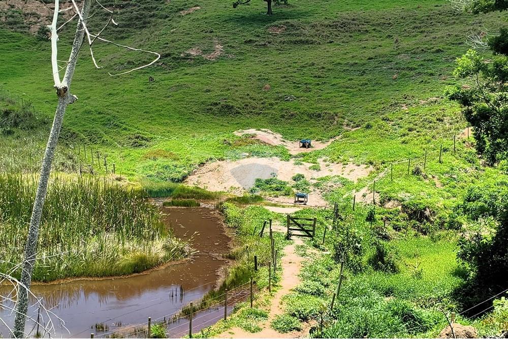Chácara / Sítio / Fazenda - Venda - Taparuba , Minas Gerais - 8_image_8_watermark_sex._19122025_102041.jpg - 870451001-158
