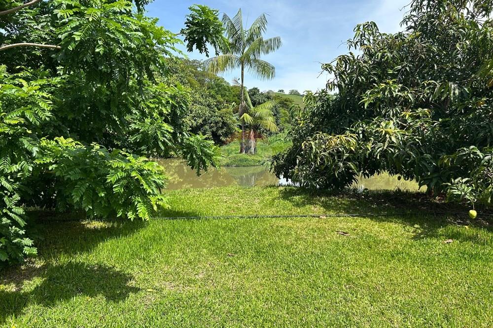 Chácara / Sítio / Fazenda - Venda - Alpercata , Minas Gerais - 15.jpeg - 870671001-168