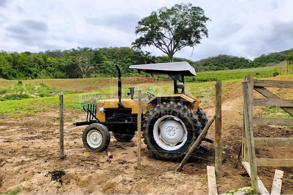 Chácara / Sítio / Fazenda - Venda - Ipanema , Minas Gerais - 2_image_2_watermark_qui._20112025_124546.jpg - 870451013-80