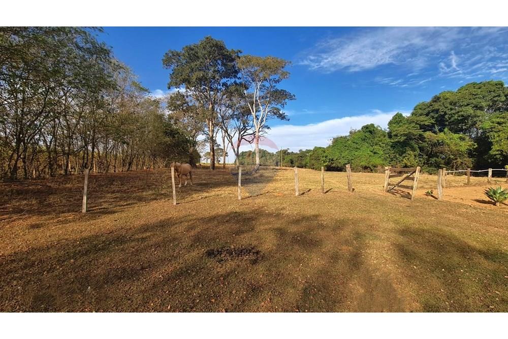 Fazenda - Venda - Uberaba , Minas Gerais - 27 Fazenda Venda R$ 6.500.000 em Uberaba na Remax 870291025-116.jpeg - 870291025-116