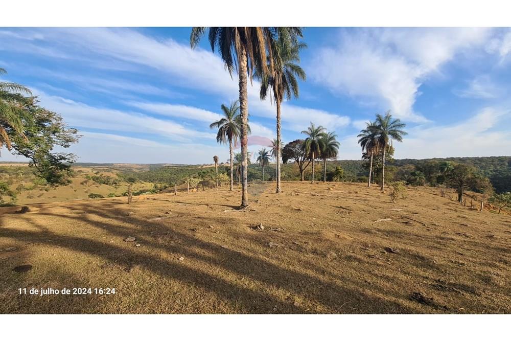 Fazenda - Venda - Uberaba , Minas Gerais - (34).jpeg - 870291025-116