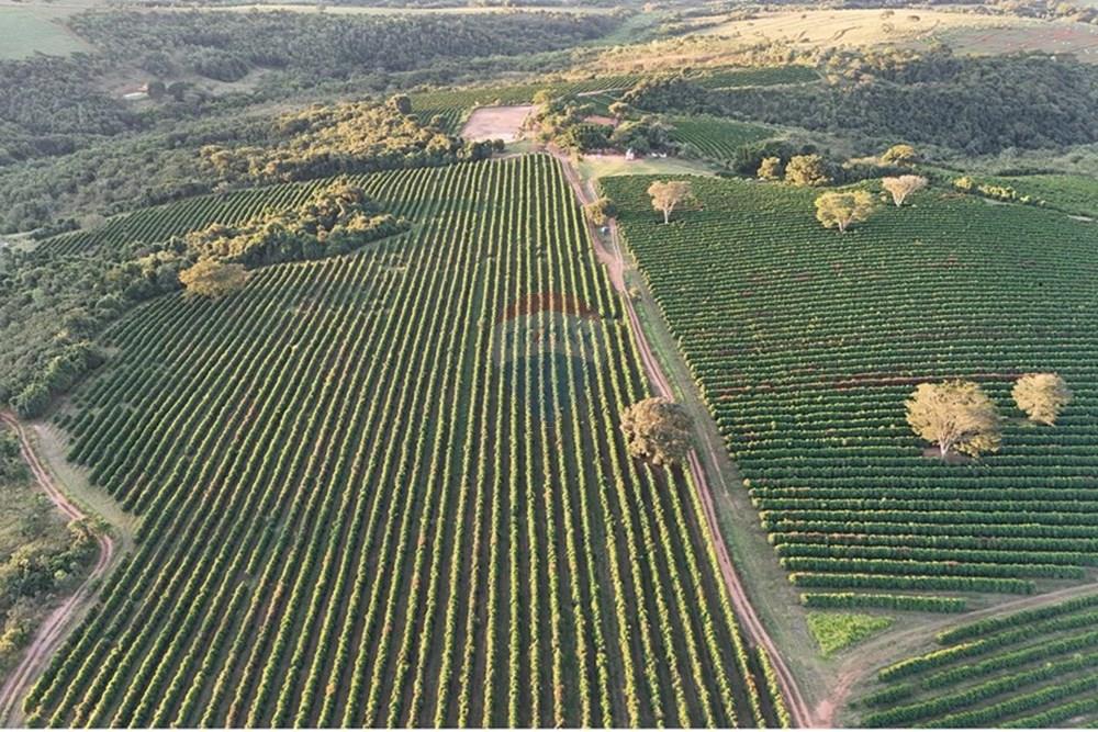 Fazenda - Venda - Ibiá , Minas Gerais - WhatsApp Image 2025-07-07 at 16.23.48 (1).jpeg - 870431012-52