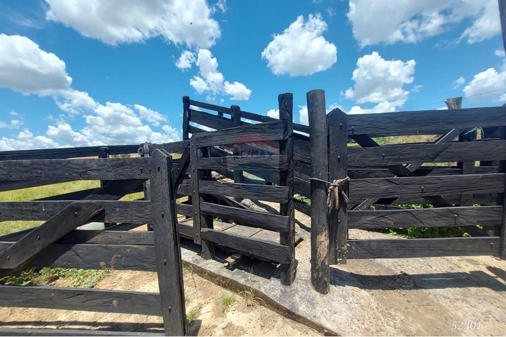 Chácara / Sítio / Fazenda - Venda - Perdizes , Minas Gerais - WhatsApp Image 2025-02-25 at 19.55.03 (1).jpeg - 870431028-37