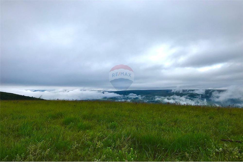 Fazenda - Venda - São Roque de Minas , Minas Gerais - 24 - 870431039-47